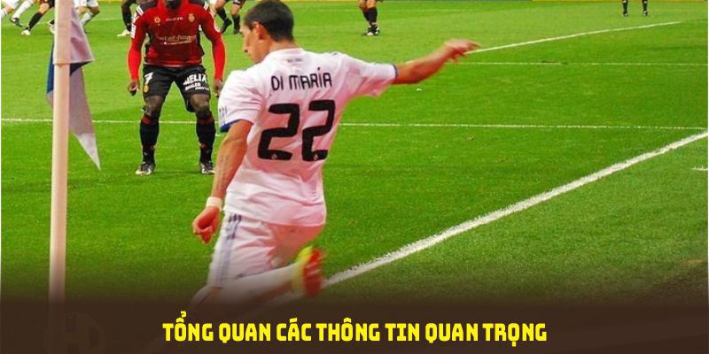 Tổng quan các thông tin quan trọng về sảnh thể thao 8KBET